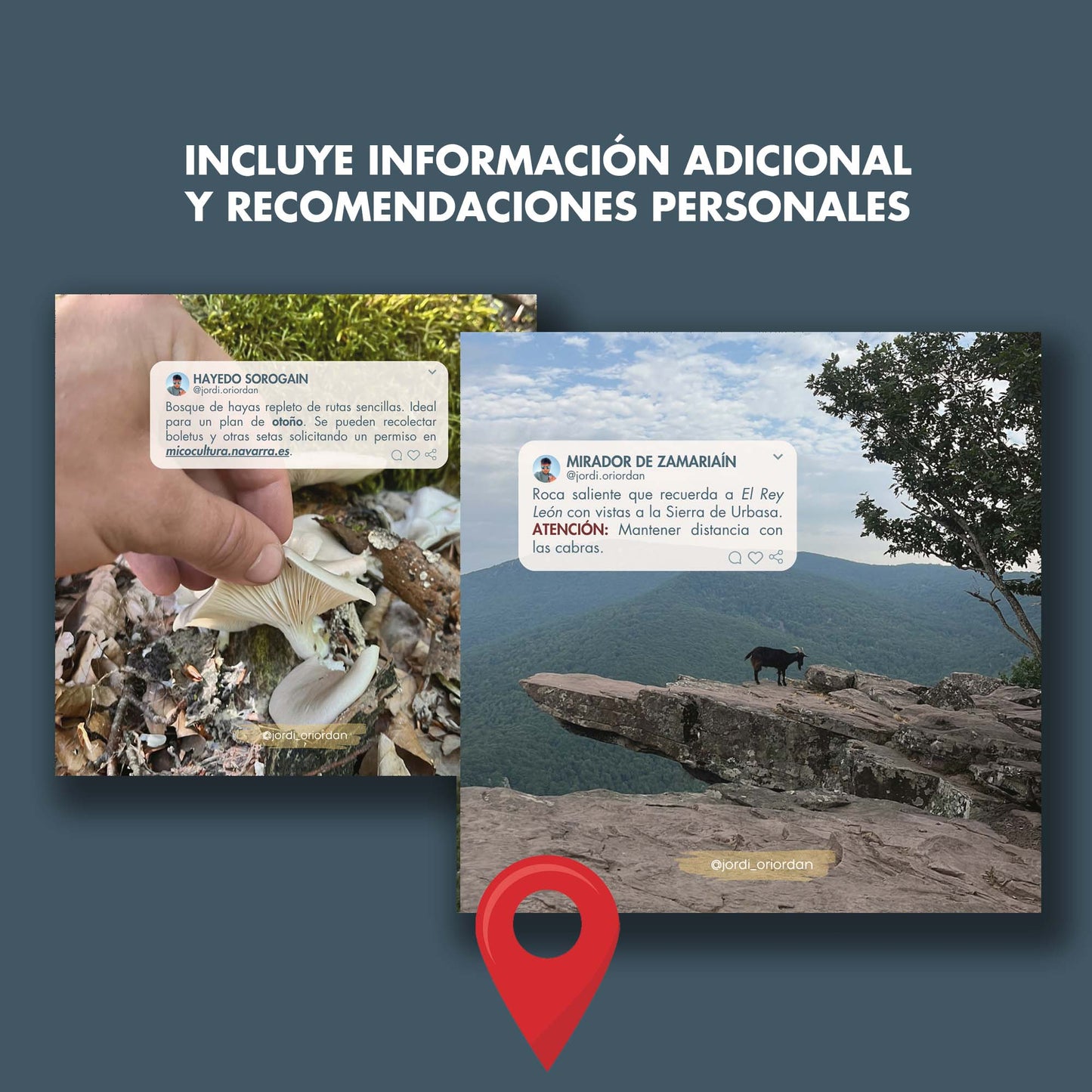 DESCUBRE: NAVARRA